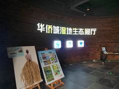 -华侨城湿地公园