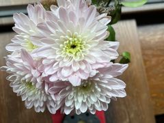 -扫雪煮茶(西村店)