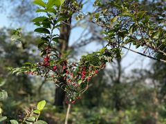 -广州市白云山风景名胜区