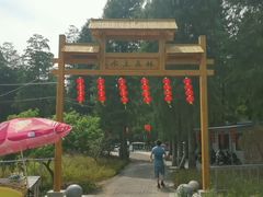 -渌洋湖湿地公园