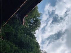 -盘龙寺