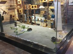 -zoonana室内动物园(东方福来德店)