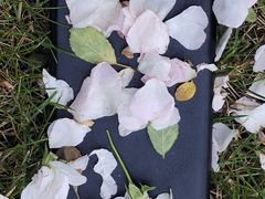 -无锡新湖铂尔曼大酒店