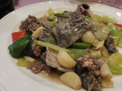 干蒸甲鱼-西新饭店(城中店)