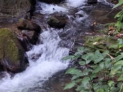 -莫里热带雨林景区
