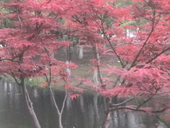 -肖记公安牛肉鱼杂馆·省级非物质文化遗产(三角路直营店)