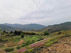 -江南天池