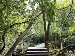 -盘龙城国家考古遗址公园