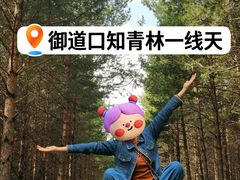 -御道口草原森林风景区