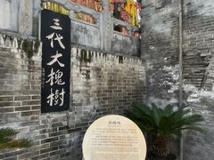 -大槐树寻根祭祖园