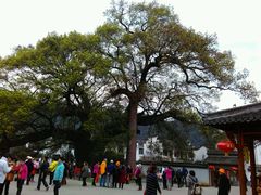 -新安江山水画廊风景区