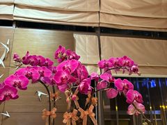 -香港恒丰酒店