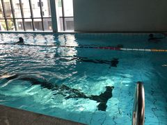 -DBSWIM深呼吸国际游泳培训(建国宾馆店)