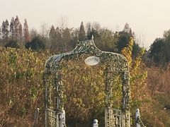 -悦兮半岛温泉度假酒店·餐厅部