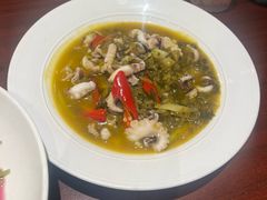 -魏铭鱼头捞饭(晋阳路店)