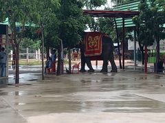-东芭乐园