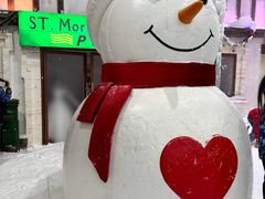 -世界之窗阿尔卑斯冰雪世界