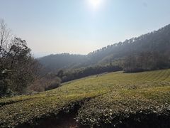 -敬亭山风景名胜区