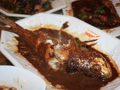 红烧海鲈鱼-沈家门海鲜夜排档(东港店)