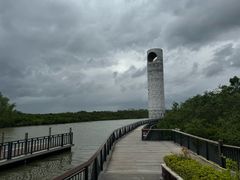 -东寨港红树林旅游区