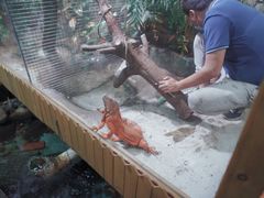 -上海大自然野生昆虫馆(东方明珠·爬宠昆虫探索中心)