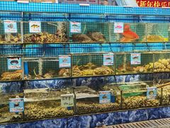 -范饭椰林川湘味海鲜·椰子鸡(三亚湾椰梦长廊店)