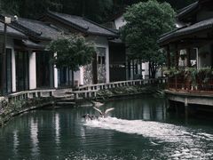 -姑婆山旅游区