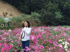 -广州市石门国家森林公园
