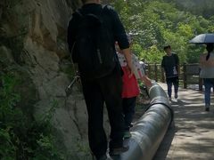 -木兰云雾山