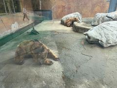-临沂动植物园