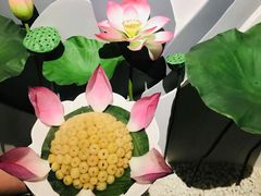 -畔田居·闽菜·福建小馆(硕和生活广场店)