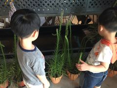 -半山腰·云南菜(侨福芳草地店)