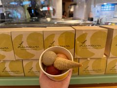 -LUNEURS月乐诗·法式冰淇淋(环贸店)