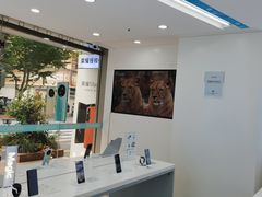 -荣耀授权专卖店(黄浦浙江中路店)