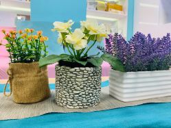 -斐尔国际皮肤管理中心