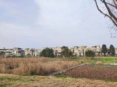 -两河城市森林公园