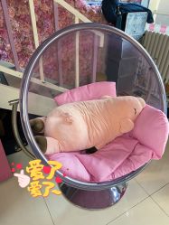-E.beauty驻颜·痘敏肌调理中心