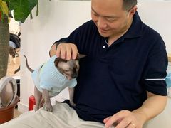 -李小姐の猫咖啡馆(五角场店)