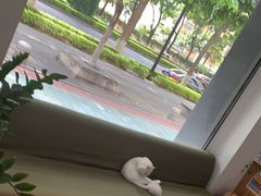 -御宝贝·A梦猫科宠物医院(国际猫友好医院)