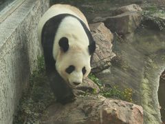 -沈阳森林动物园