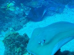 -海合安青岛极地海洋公园