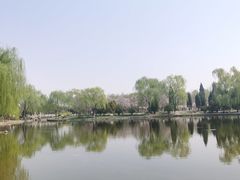 -石家庄市植物园