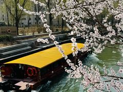 -皇家御河游(紫御湾码头)