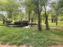 -秦皇岛野生动物园