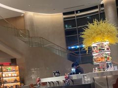 -Plush大堂酒廊(北京金融街威斯汀大酒店)