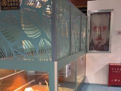 -上海大自然野生昆虫馆(东方明珠·爬宠昆虫探索中心)