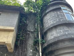 -蠡湖中央公园
