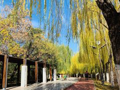 -南翠屏公园