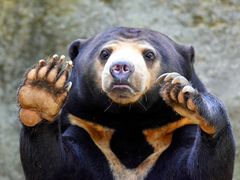 -杭州野生动物世界