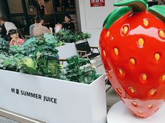 -树夏(鹭洲里店)